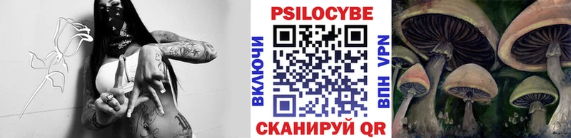 где найти наркотики  Славянск-на-Кубани  Галлюциногенные грибы мицелий 